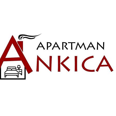 Apartman Ankica Golubac Dış mekan fotoğraf